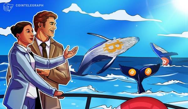 Cointelegraph Consulting: BTC whales buying big as retail goes bullish